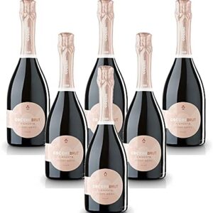 Spumante Cocchibrut Rosè Piemonte DOC Pinot Nero en pureza (6 botellas 75 cl.)